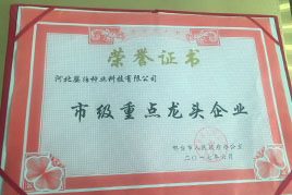 榮譽資質