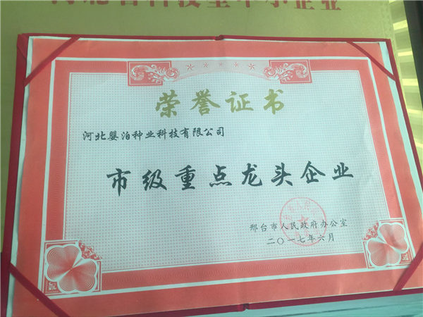 榮譽(yù)資質(zhì)