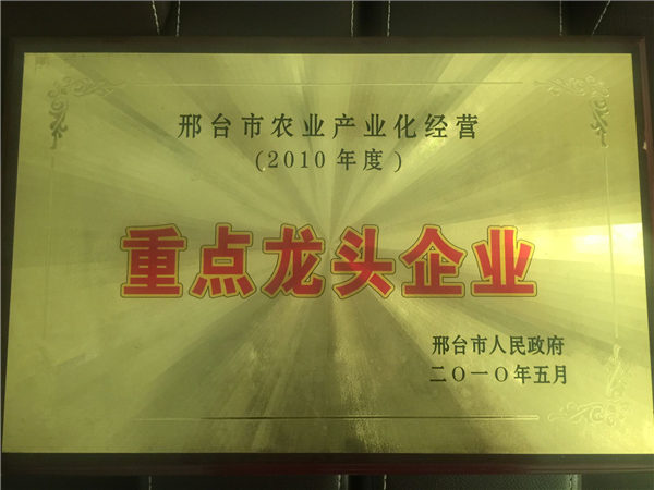 榮譽(yù)資質(zhì)