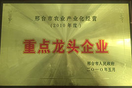 榮譽資質
