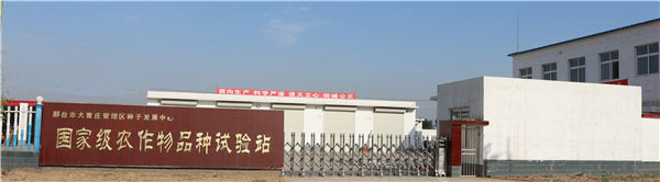 3科研基礎(chǔ) 嬰泊種業(yè)試驗(yàn)站