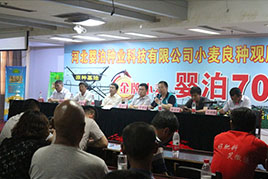 3領導與媒體關注市農業(yè)局有關領導推介嬰泊700