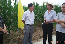 農業(yè)部種子管理局張延秋局長調研