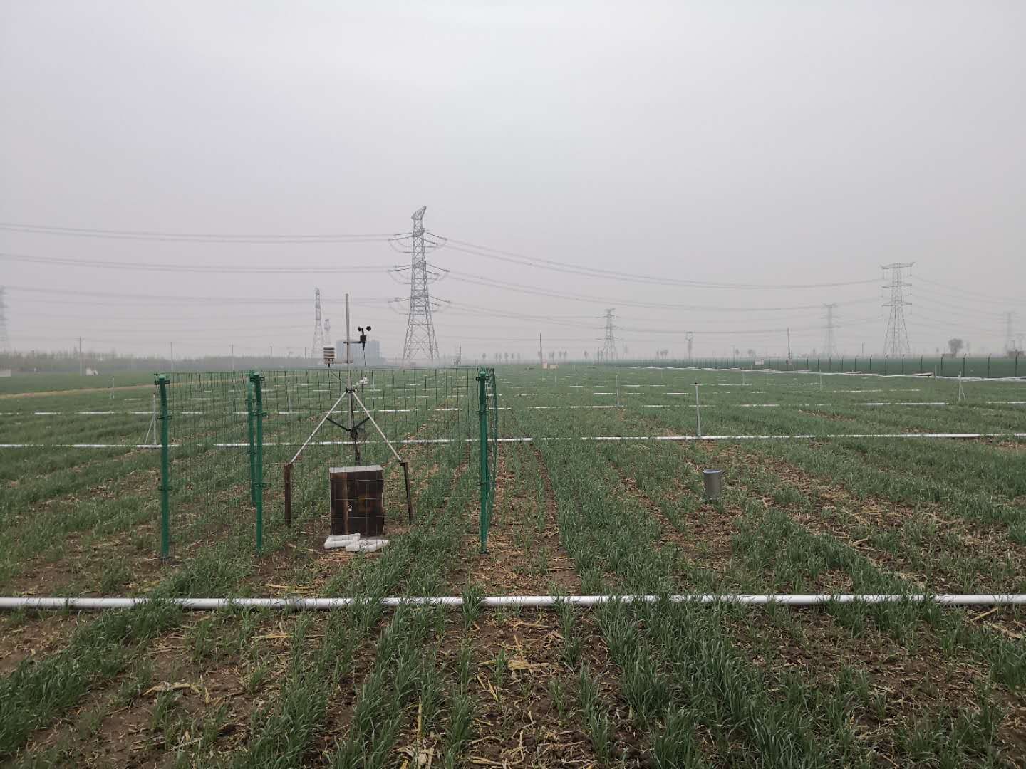 中國農(nóng)業(yè)大學(xué)水利與土木工程學(xué)院嚴(yán)海軍院長來我公司國家試驗站指導(dǎo)項目工作