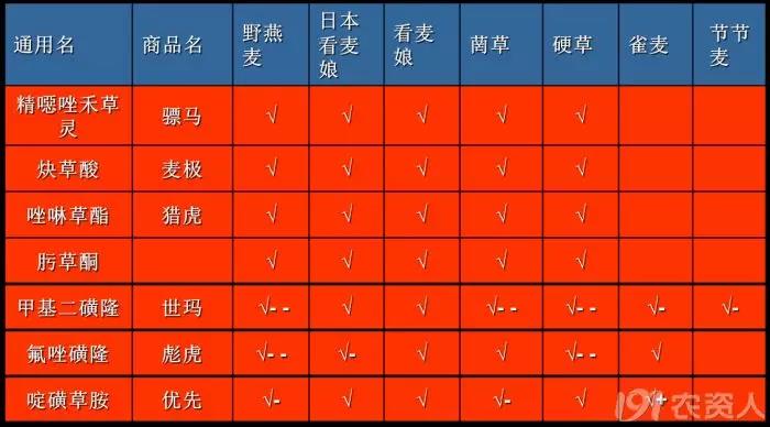 麥田雜草識別及化學除草指南，全面！  