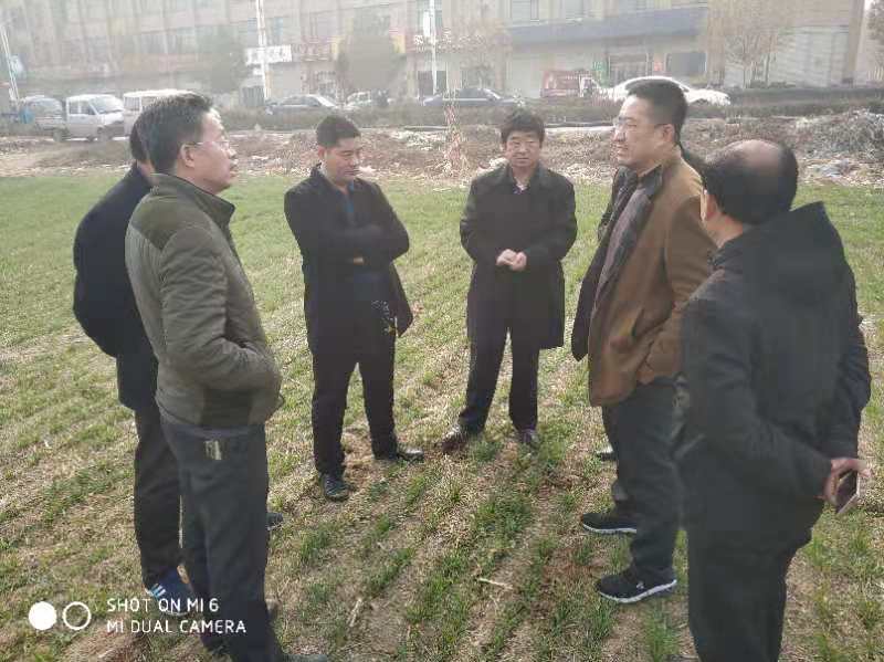 國(guó)審小麥?zhǔn)?6（國(guó)審麥20180052）落戶河北嬰泊種業(yè)科技有限公司